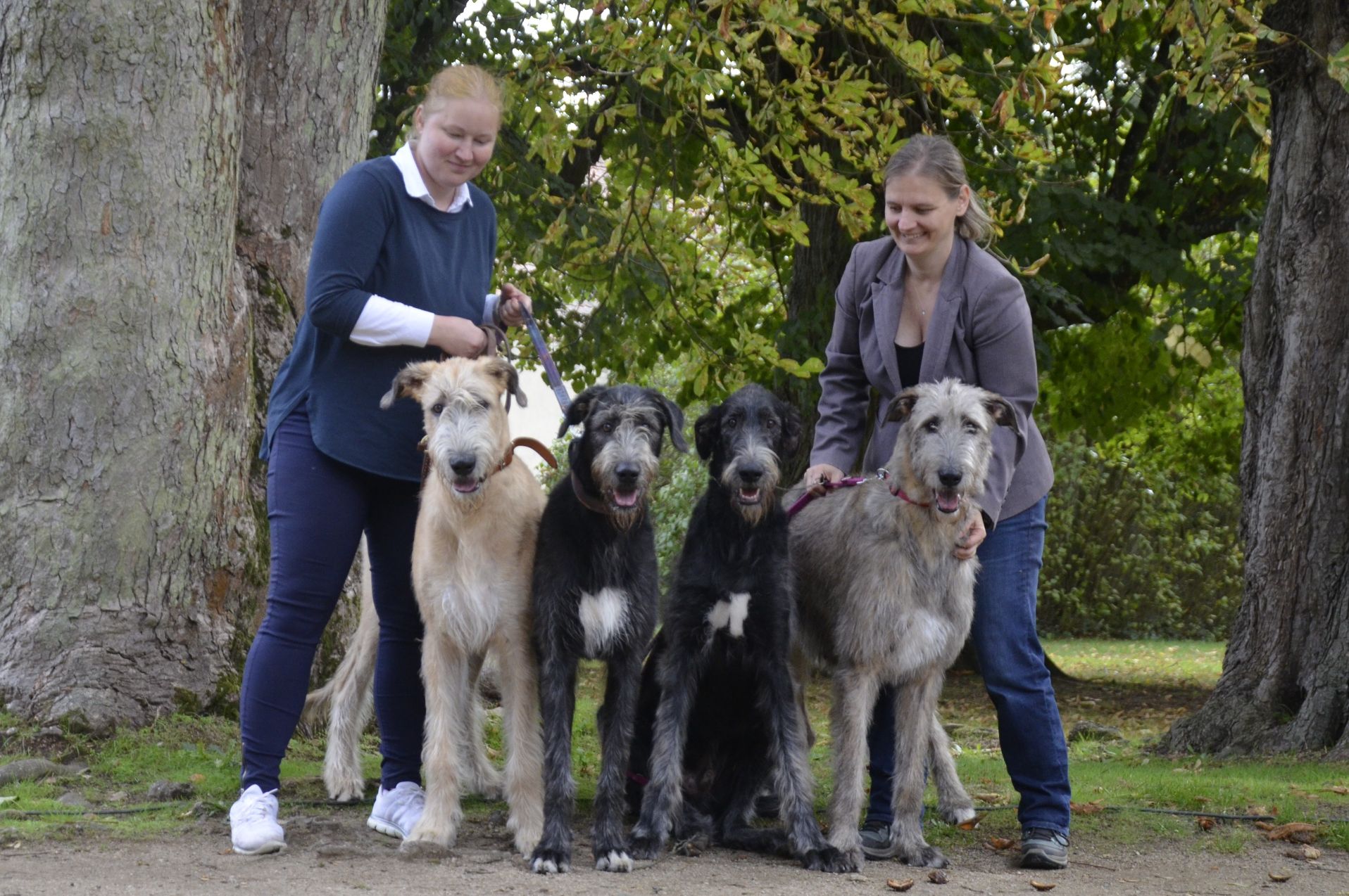 Ingmar, Isadora, Iosac Really Irish a Monsters Inc Kazka Ingmar, Isadora, Iosac Really Irish a Monsters Inc Kazka